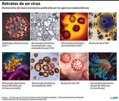Los virus vectores del miedo - Nacionales - ABC Color