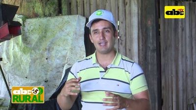 Programa 16: Manejo de raciones en ensilado - ABC Rural - ABC Color