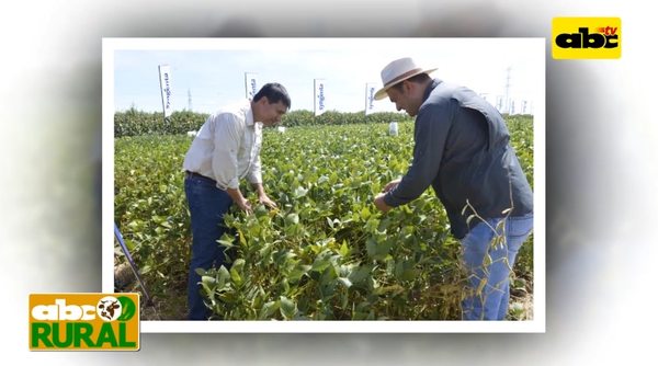 Programa 16: Syngenta - ABC Rural - ABC Color