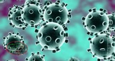 Coronavirus en Paraguay: Paciente provino de Ecuador y se encuentra en su domicilio con reposo