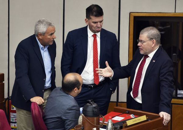 Senado discutirá de nuevo devolución de terna de  Corte - Política - ABC Color