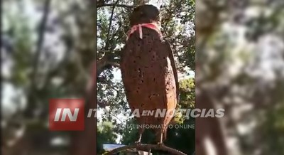 CON 50 AÑOS DE HERRERO, AHORA CREA OBRAS DE ARTE EN HIERRO