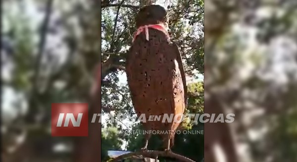 CON 50 AÑOS DE HERRERO, AHORA CREA OBRAS DE ARTE EN HIERRO