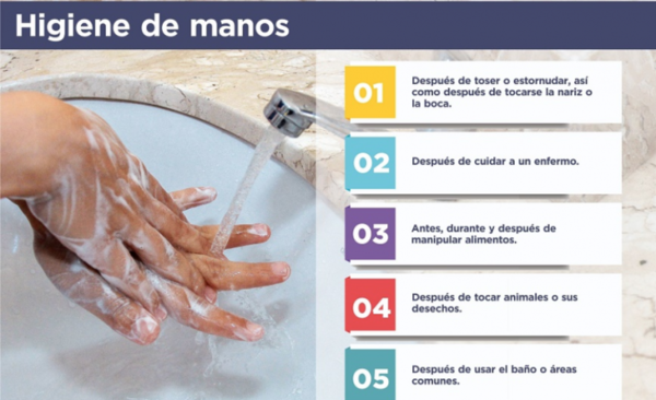 HOY / Lo que se sabe del coronavirus y cómo actuar ante casos sospechosos