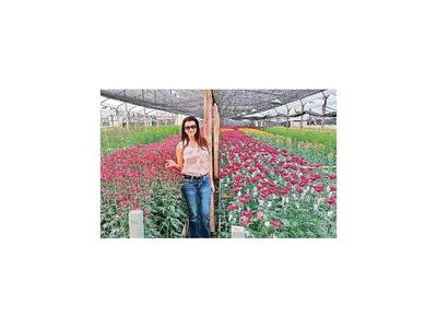 Promueven la inversión en el cultivo de flores