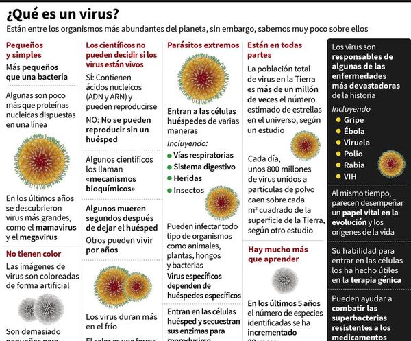 OMS confirma contagios de covid-19 en más de un centenar de países - Internacionales - ABC Color