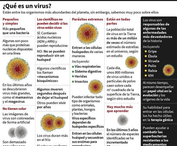 OMS confirma contagios de covid-19 en más de un centenar de países - Internacionales - ABC Color