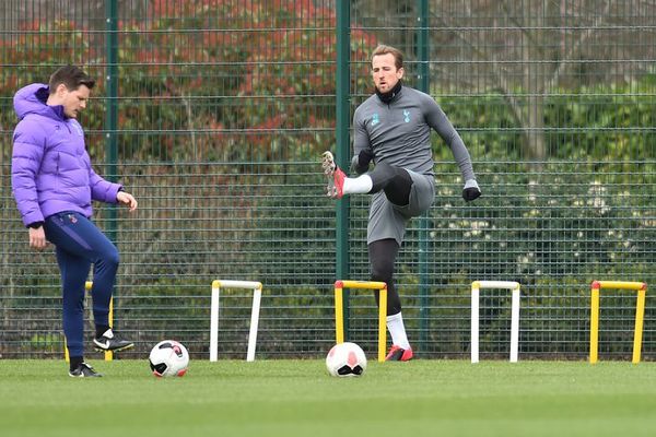 El Leipzig-Tottenham se jugará con público - Fútbol - ABC Color