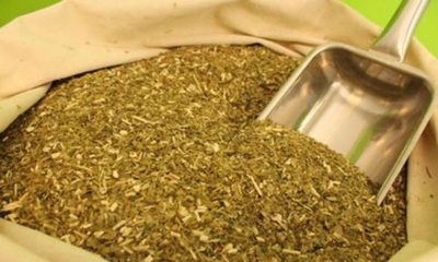 » Yerba mate local causó furor en feria de Dubái