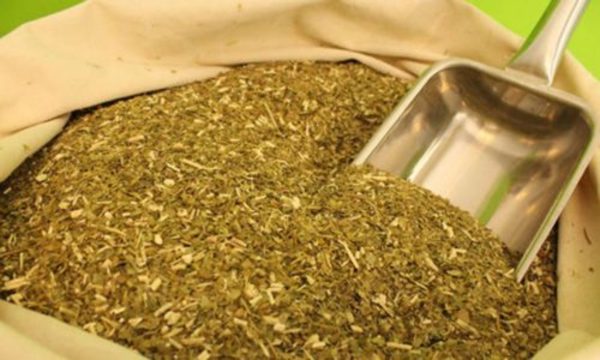 » Yerba mate local causó furor en feria de Dubái