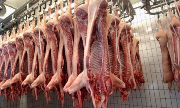 » Arancel a la carne porcina se suma a restricciones de frigoríficos en Rusia