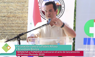 » Noticias Breves