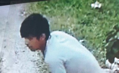 HOY / VIDEO | Ladrón se llevó una jaula con el loro incluido