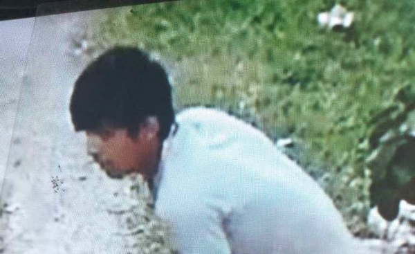 HOY / VIDEO | Ladrón se llevó una jaula con el loro incluido