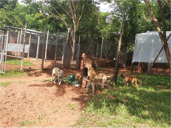 Organizan fiesta con mascotas a beneficio de animales rescatados