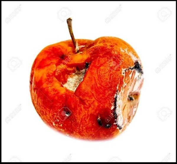 Una manzana podrida destruye todo el manzanal