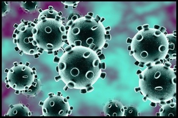 El pandemónium con la pandemia del Coronavirus
