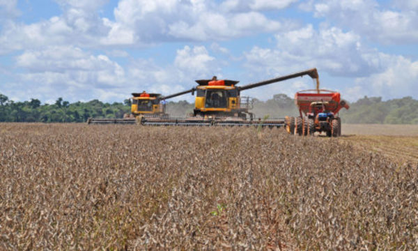 » Productores retienen soja a la espera de mejores precios