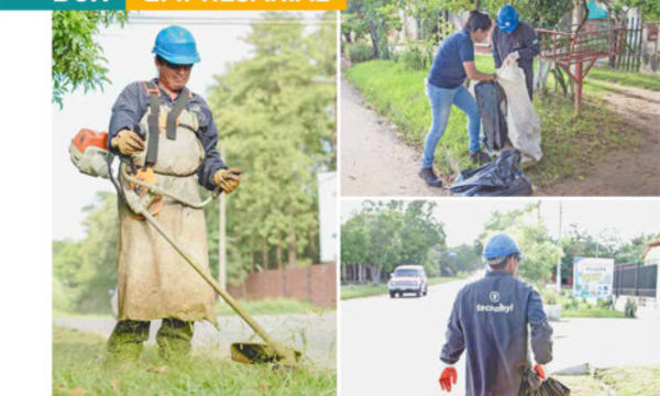 » Apoyo en lucha interinstitucional contra el dengue