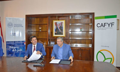 » CAFYF y DINAPI acuerdan a favor de la Propiedad Intelectual
