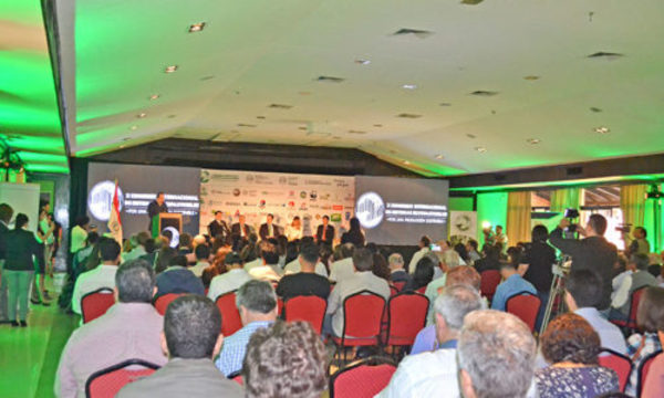 » X CONGRESO INTERNACIONAL: Debate y apuesta por sistemas silvopastoriles