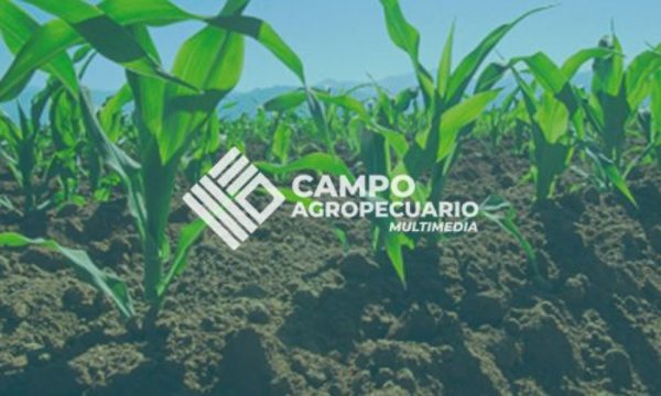» Industrias de maquinarias proyectan 10% de crecimiento este año