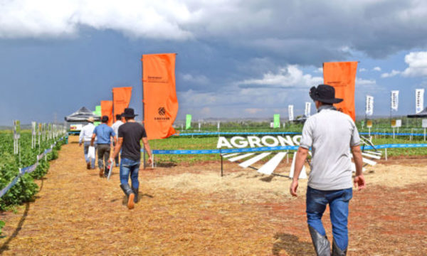 » AGRONOMY DAY: Tecnologías y manejo propuestos por Corteva