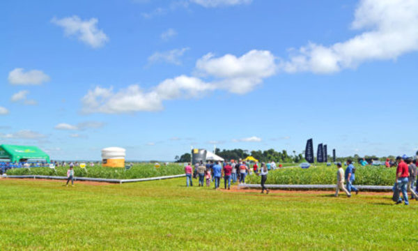 » JORNADA TECNOLÓGICA TRANSAGRO: Tecnologías y tendencias para el agro