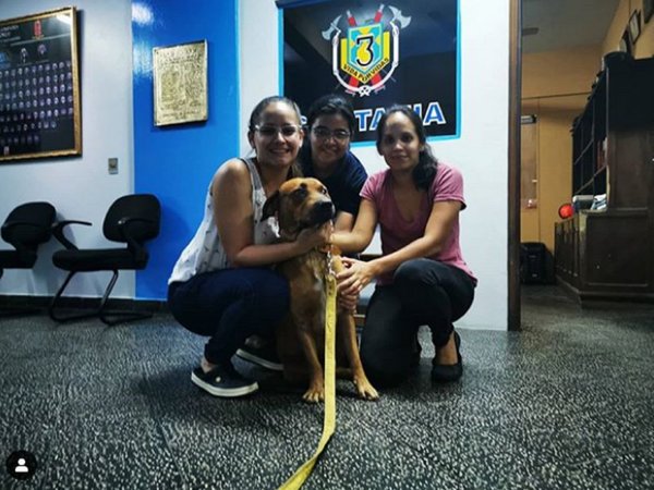 Apareció Ouro, el fiel amigo de los bomberos voluntarios de Sajonia