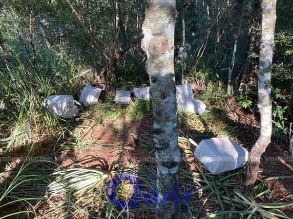 Operación Jasuka: Incautan 400 kilos de cocaína en Amambay