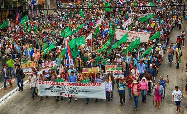 Campesinos podrían postergar marcha por coronavirus - ADN Paraguayo