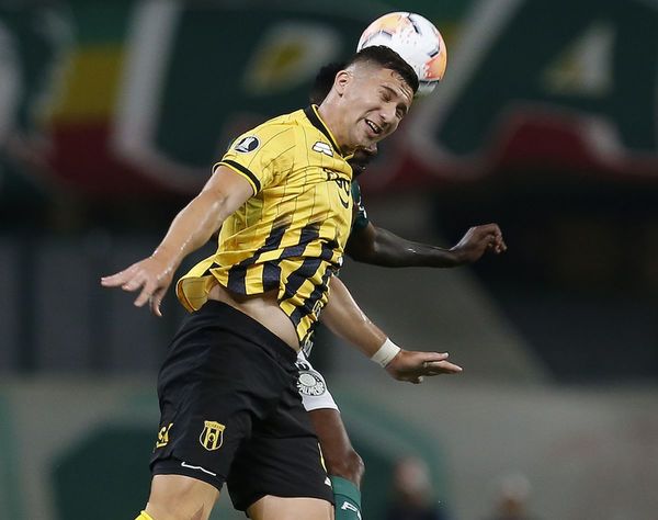 Guaraní sufre una dura caída