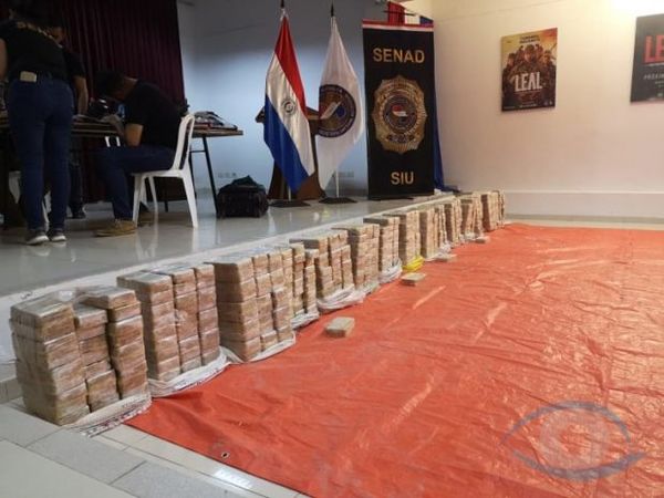 Senad incauta 461 kilos de cocaína en pista clandestina de aterrizaje