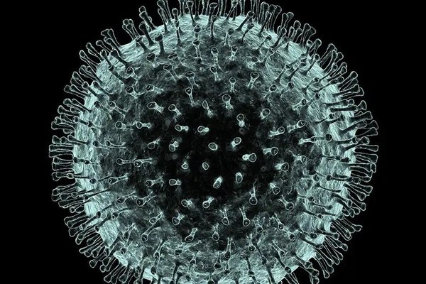 Salud asume que el coronavirus está en circulación