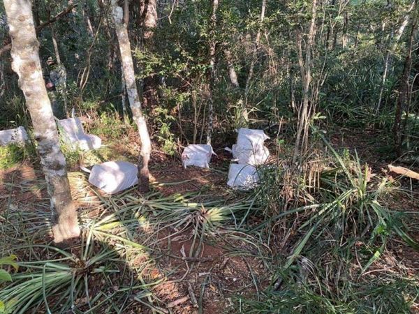 Fiscalía incauta 400 kilos de supuesta cocaína en Capitán Bado