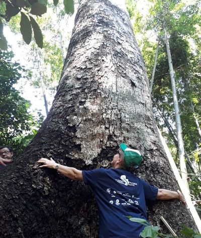 A Todo Pulmón: ‘cada vez más personas se animan a entrar en los bosques’