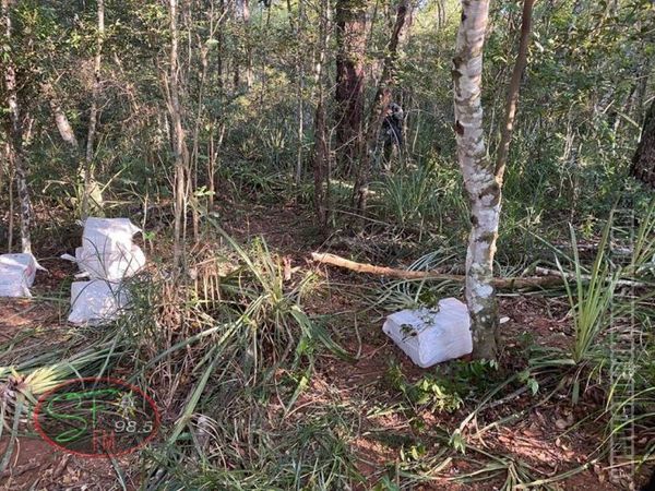 Caen 461 kilos de cocaína en la zona de cerro Guazú, en Capitan Bado