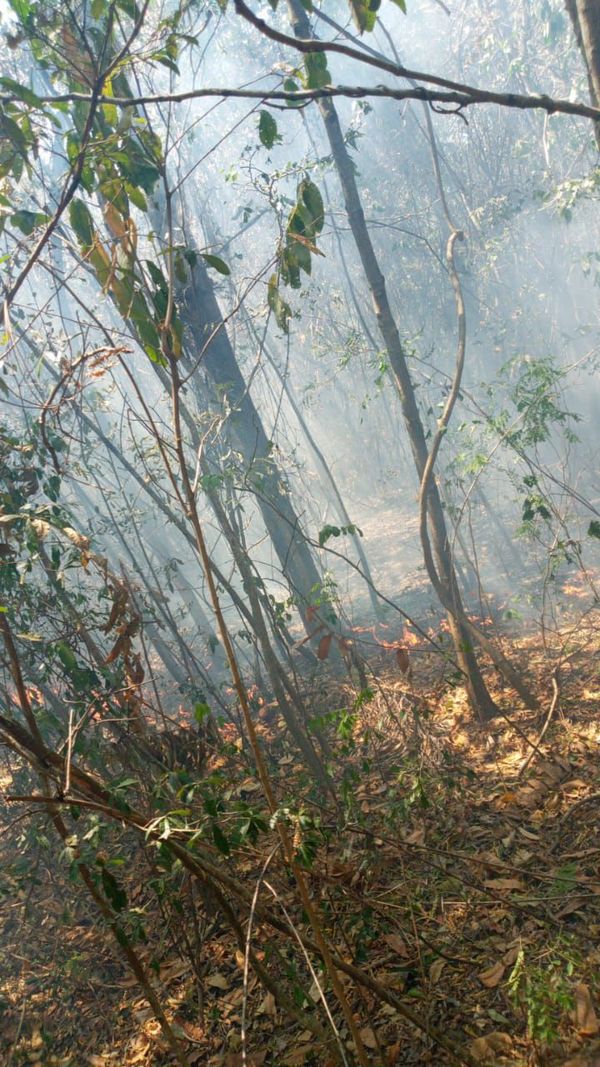 Incendio afecta compañías de Atyrá y Altos - Nacionales - ABC Color