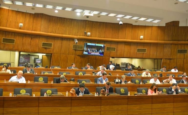 HOY / Diputada Celeste Amarilla, sobre sus proyectos presentados en la Cámara de Diputados