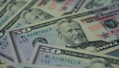 ¿Cómo funcionaría el Banco Nacional de Desarrollo y para qué se crearía?
