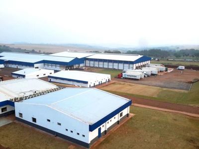 Grupo Marfrig muy cerca de llegar a Paraguay con la compra de FrigoNorte