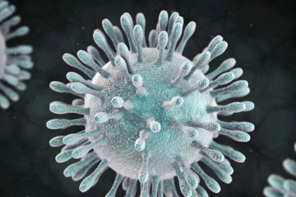 Características para entender la complejidad del coronavirus