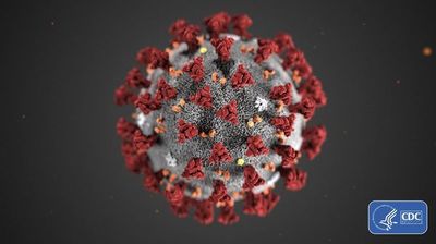 El virus: antiguo, minúsculo, sorprendente