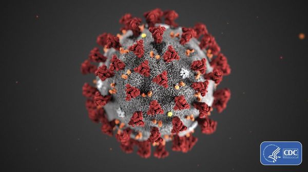 El virus: antiguo, minúsculo, sorprendente