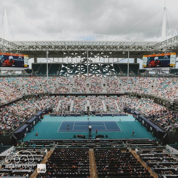 Alcalde canceló el Miami Open de Tenis - Tenis - ABC Color