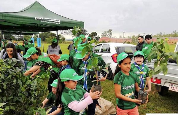 Plantaron 200 arbolitos •