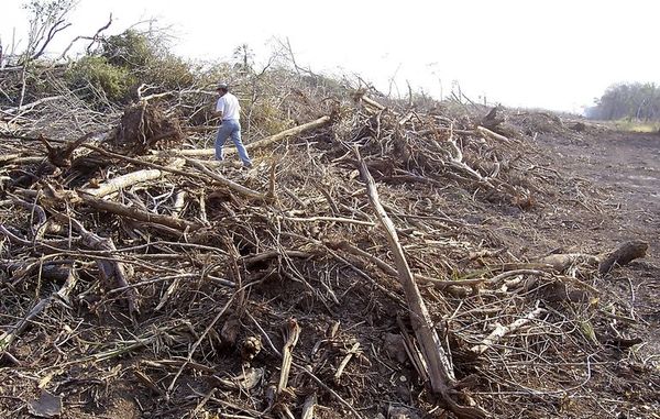 El Tratado que asusta a los abusadores del medio ambiente - Notas - ABC Color