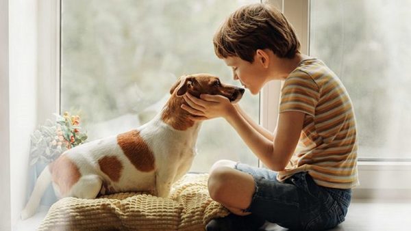 Las mascotas también deben ser cuidadas del coronavirus