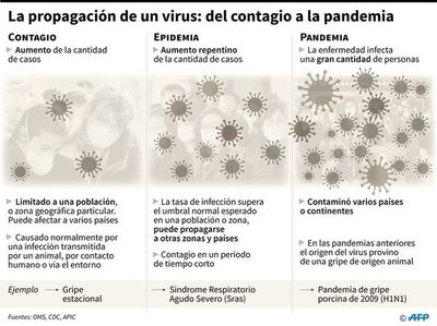 El virus: antiguo, minúsculo, sorprendente - Ciencia - ABC Color