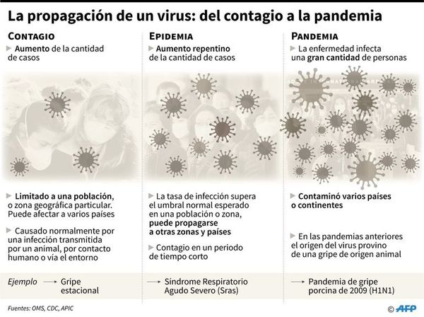 El virus: antiguo, minúsculo, sorprendente - Ciencia - ABC Color